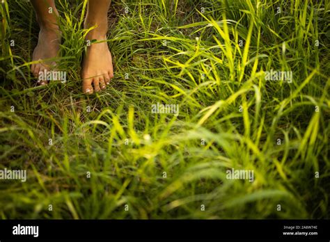 bottomless girls|3,704 Naturism Stock Photos and High